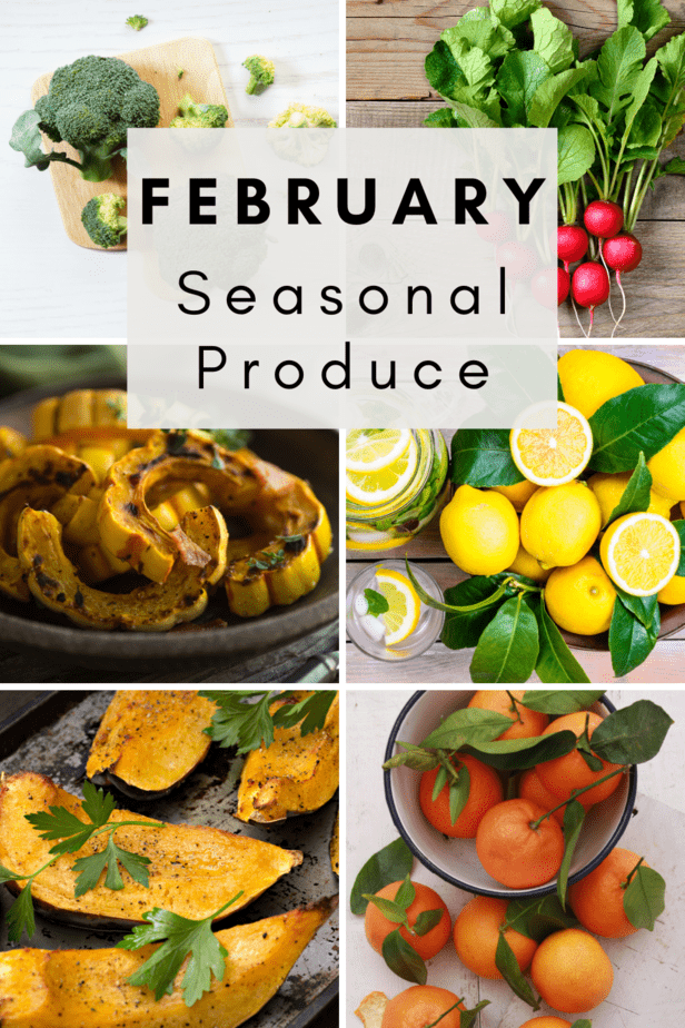 Fruits in season by month | February fruit | What’s in season in February | Cheapest fruits and vegetables month by month | February fresh produce guide | Recipes to try in February | February foods in season | What fruits and vegetables are in season in February? | What fruits are in February? | What fruit is in season in February and march? | What seasonal produce is currently available?