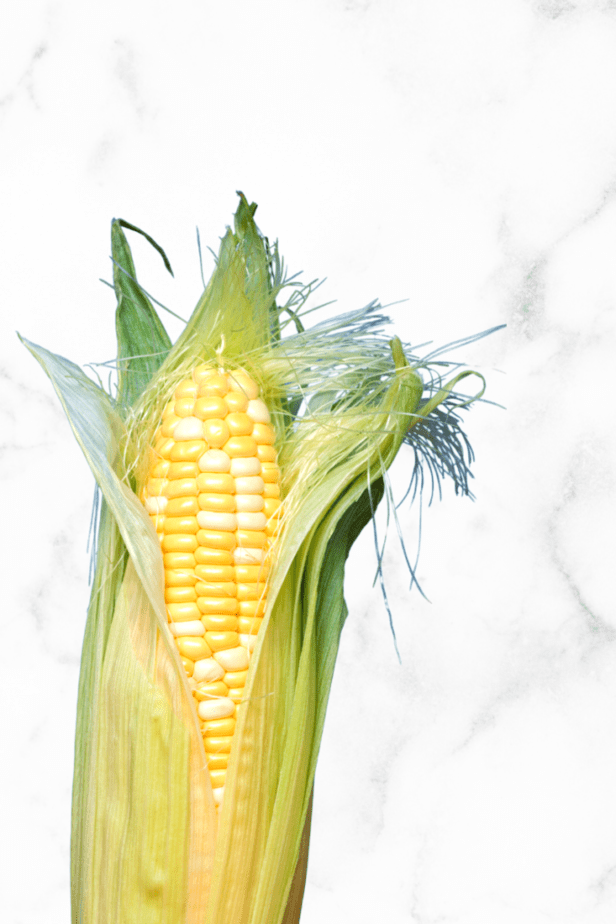 corn in husk on white marble counter